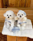 Belinda Set – Luxury Plaid Outfit Set with Matching Hat for Dogs