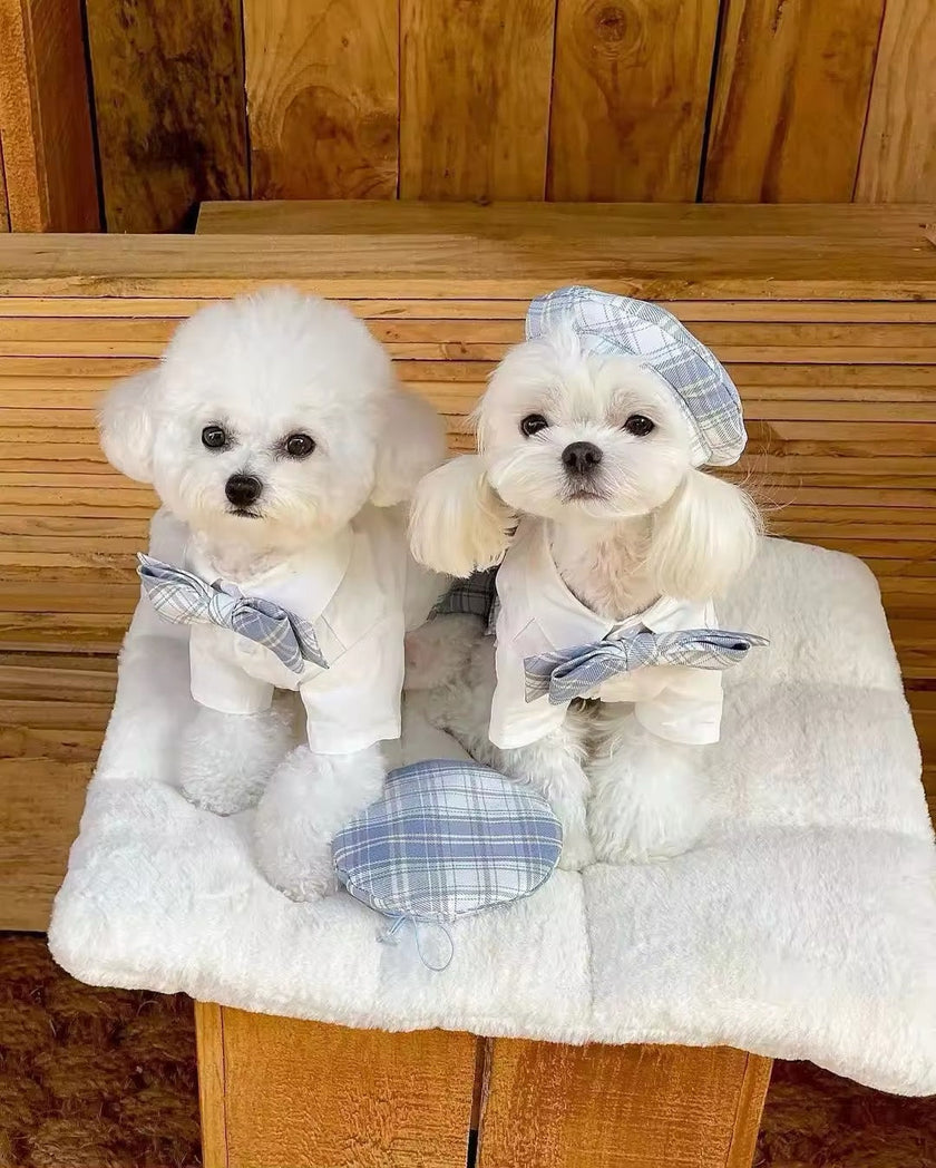 Belinda Set – Luxury Plaid Outfit Set with Matching Hat for Dogs