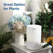 Levoit Humidifiers for Bedroom Large Room, 3L Top Fill, Oil Diffuser, White 🍁 All In One Marketplace Canada