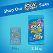 JOLLY RANCHER Assorted Hard Candy, 360 Count (2.26kg) – Individually Wrapped Fruity Candy for Gifts & Sharing 🍁 All In One Marketplace Canada