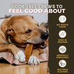 Bully Bunches Large Authentic Yak Cheese Himalayan Chews for Large Dogs & Heavy Chewers - All Natural Dog Treat Dental Chews, Made with Real Yak Milk - Lactose & Rawhide Free (2 Pk) 🍁 All In One Marketplace Canada
