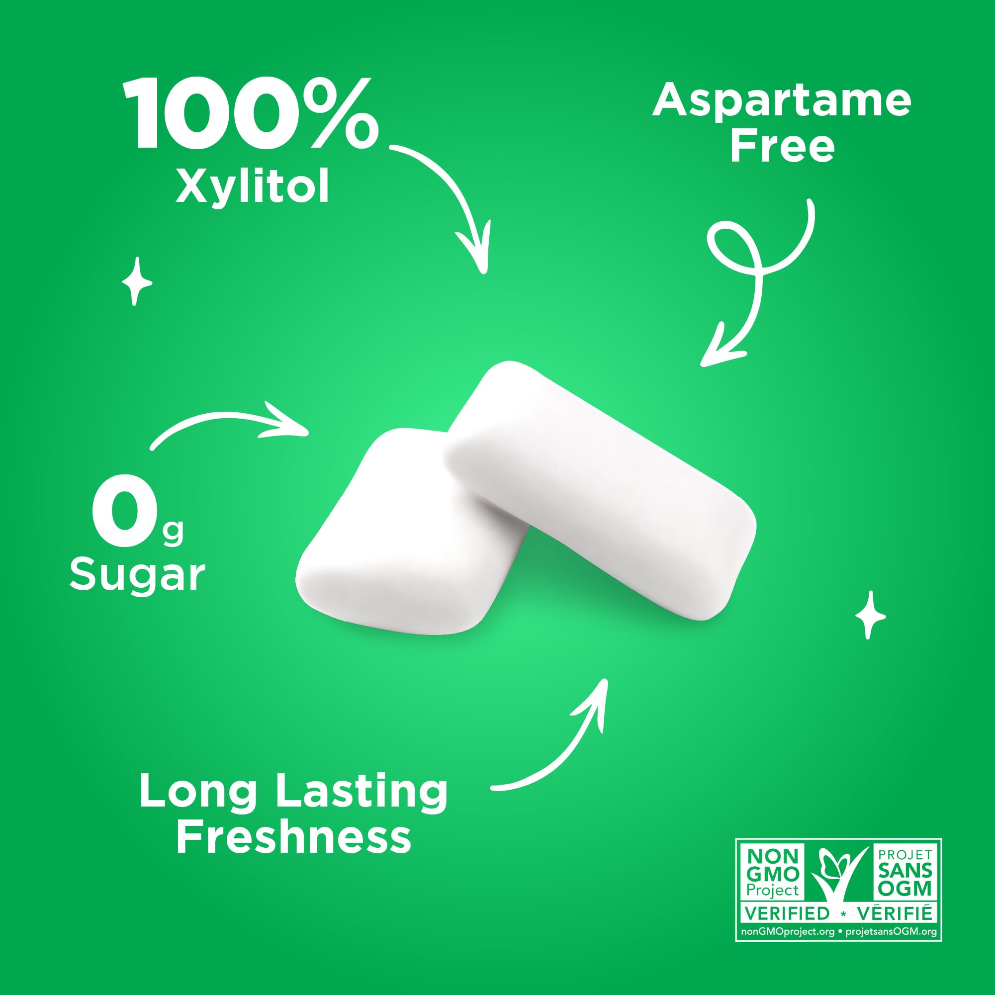 PUR Gum | Aspartame Free Chewing Gum | 100% Xylitol | Natural Spearmint Flavoured Gum, 55 Pieces (Pack of 6) 🍁 All In One Marketplace Canada