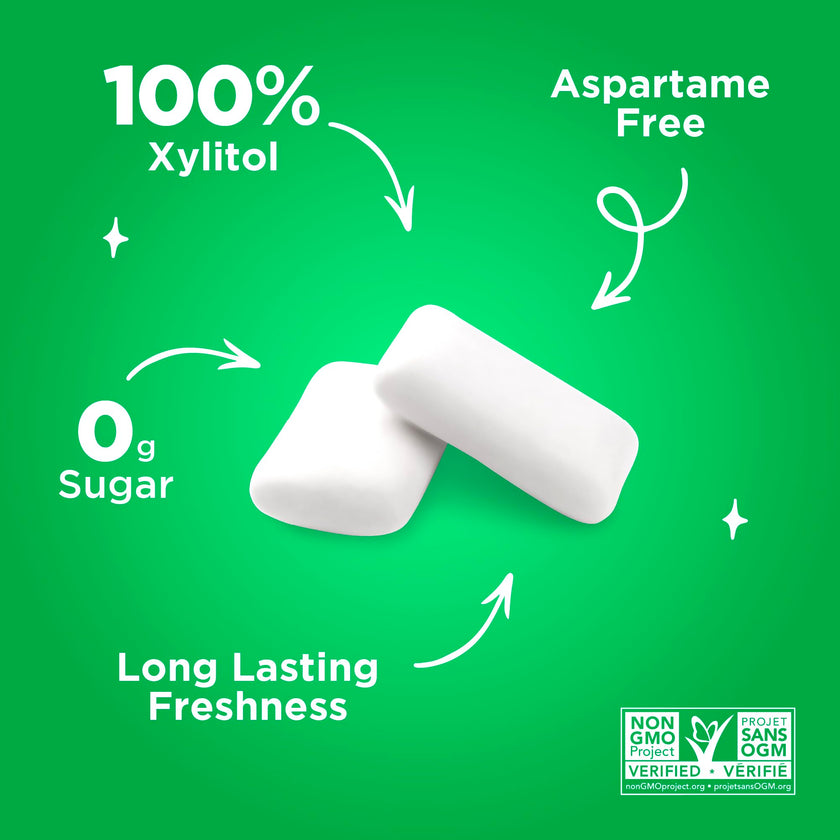 PUR Gum | Aspartame Free Chewing Gum | 100% Xylitol | Natural Spearmint Flavoured Gum, 55 Pieces (Pack of 6) 🍁 All In One Marketplace Canada