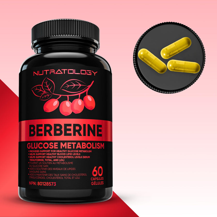 Nutratology® Berberine Supplement | Canadian-Made | Max Potency 500MG Per Capsule - Supports Glucose Metabolism & Healthy Blood Sugar Levels Through Efficient Metabolism Of Sugar & Fats - 60 Capsules 🍁 All In One Marketplace Canada