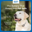 INVISIBLE FENCE Brand Power Cap Batteries for Microlite and Microlite Plus Computer Collar Units – 2-Pack – Also Compatible for MaxDog and MaxDog Plus Invisible Fence Dog Collars 🍁 All In One Marketplace Canada