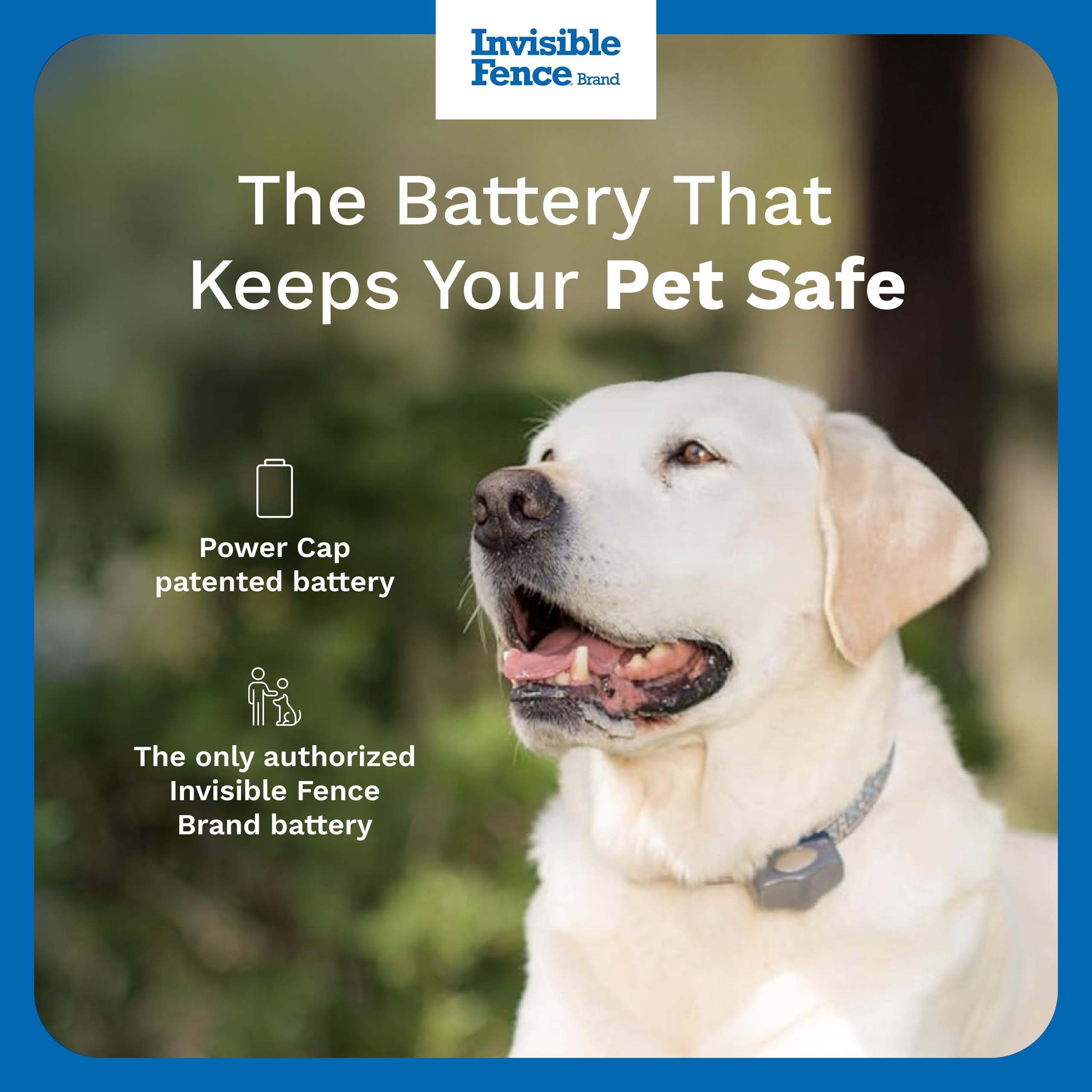INVISIBLE FENCE Brand Power Cap Batteries for Microlite and Microlite Plus Computer Collar Units – 2-Pack – Also Compatible for MaxDog and MaxDog Plus Invisible Fence Dog Collars 🍁 All In One Marketplace Canada