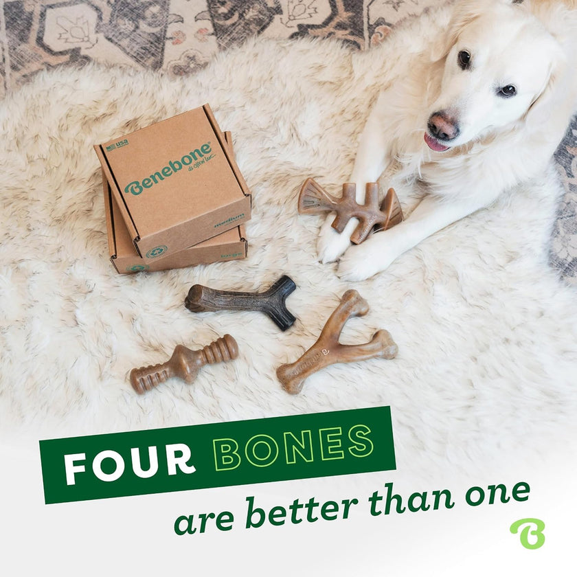 Benebone 4-Pack Durable Dog Chew Toys for Aggressive Chewers, Real Flavors, Made in USA, Medium 🍁 All In One Marketplace Canada