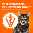 IAMS Proactive Health Healthy Adult Dry Cat Food – Chicken – 7.26KG (16LB) Bag 🍁 All In One Marketplace Canada