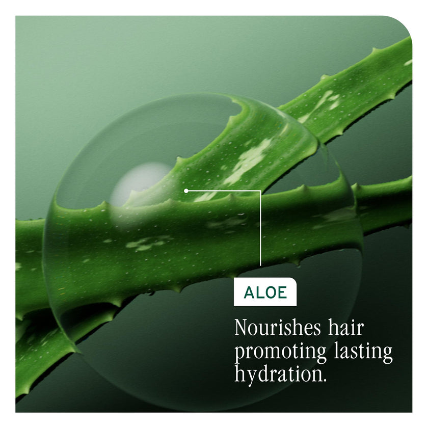 Biolage HydraSource Hydrating Shampoo for Dry Hair 🍁 All In One Marketplace Canada
