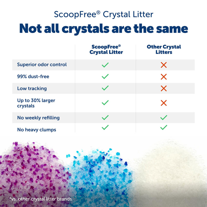 ScoopFree Premium Fresh Scent Crystal Litter, Superior Odor Control, Absorbs 5X Faster, Low Tracking for Less Mess, Lasts up to 2 Months, Lightly Scented (8 lb Bag) 🍁 All In One Marketplace Canada