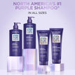 EverPure Sulfate-Free Shampoo, Purple Shampoo for Blonde Hair, Bleached, Brown Highlighted, Silver and Gray Hair, With Purple Pigments, Pack of 1, 680ml 🍁 All In One Marketplace Canada