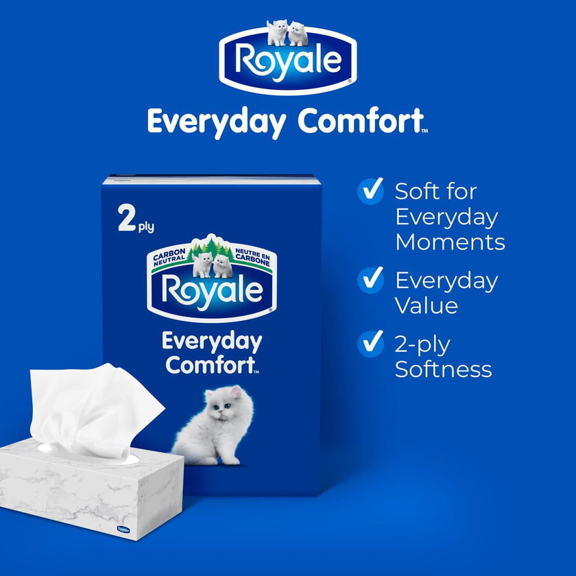 Royale Everyday Comfort 2 Ply Facial Tissue, 24 Tissue Boxes, 100 Tissues per Box 🍁 All In One Marketplace Canada