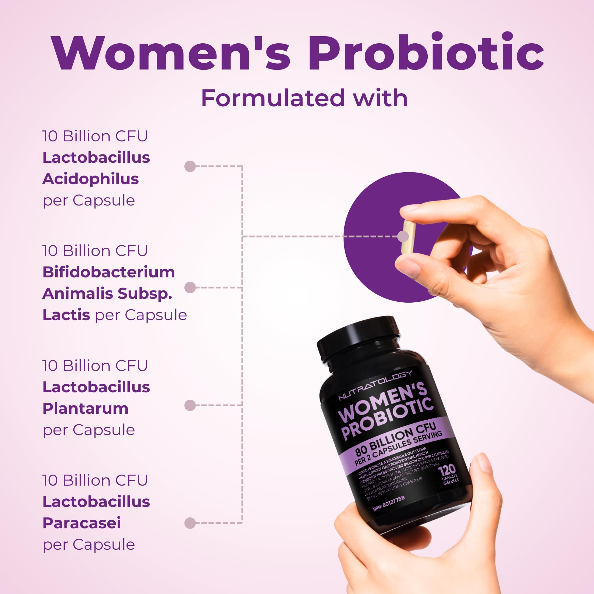 Nutratology® Probiotics for Women | Canadian-Made | 40 Billion CFUs Per Capsule | 80 Billion CFUs Per Serving - Bloating Relief & Digestion - 4 Strains of Women's Probiotic for Gut Health -120 Count 🍁 All In One Marketplace Canada