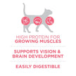 Purina ONE +Plus Dry Kitten Food, Healthy Kitten with Chicken 3kg 🍁 All In One Marketplace Canada