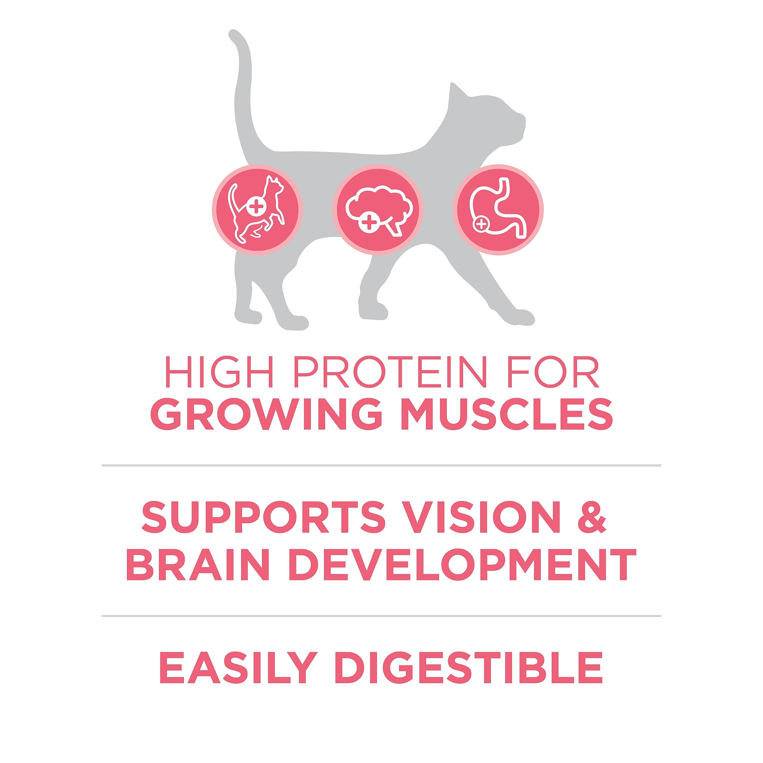 Purina ONE +Plus Dry Kitten Food, Healthy Kitten with Chicken 3kg 🍁 All In One Marketplace Canada