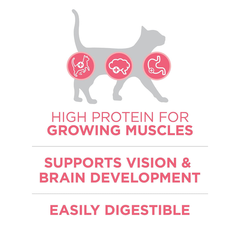 Purina ONE +Plus Dry Kitten Food, Healthy Kitten with Chicken 3kg 🍁 All In One Marketplace Canada