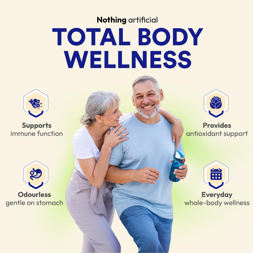 Kyolic Odourless Aged Garlic Extract - 90 Tablets Extra Strength 1000mg - Cardiovascular Supplement - Kyolic Cardiovascular Health -Garlic Extract Supplement - 90 Day-Supply 🍁 All In One Marketplace Canada