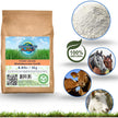 Diatomaceous Planet a Proudly Canadian Company, 2 KG / 4.4 LB All Natural, Organic Food Grade Powder, Enriched Fossil Powder by Diatomaceous Planet 🍁 All In One Marketplace Canada