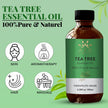 AVD Organics Tea Tree Oil | 100% Pure and Natural Tea Tree Essential Oil for skin | for Nail Fungus Face Aromatherapy Home Diffusers Carrier | 3.38 fl. Oz 🍁 All In One Marketplace Canada