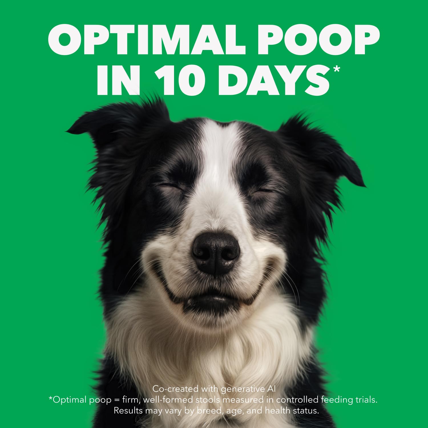 IAMS Proactive Health Minichunks Dry Dog Food – Crunchy Kibble For Adult Dogs – Lamb & Rice Recipe – 13.6KG (30LB) Bag 🍁 All In One Marketplace Canada