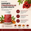 ALL-IN-ONE Berberine 1000 mg with Ceylon Cinnamon 2000 mg, Chromium Picolinate 500 mcg & Turmeric 2000 mg (Per Serving: 2 Capsules) – Blood Sugar, Glucose & Metabolic Support – Cholesterol & Cardiovascular Health – Made in Canada