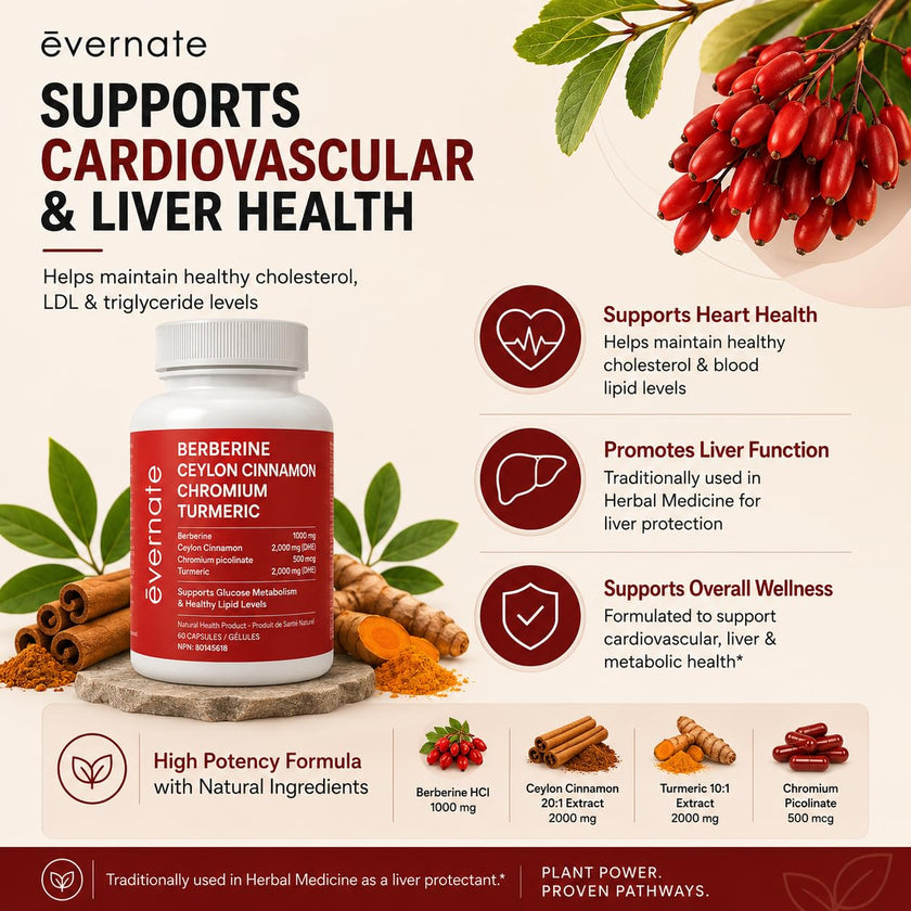 ALL-IN-ONE Berberine 1000 mg with Ceylon Cinnamon 2000 mg, Chromium Picolinate 500 mcg & Turmeric 2000 mg (Per Serving: 2 Capsules) – Blood Sugar, Glucose & Metabolic Support – Cholesterol & Cardiovascular Health – Made in Canada