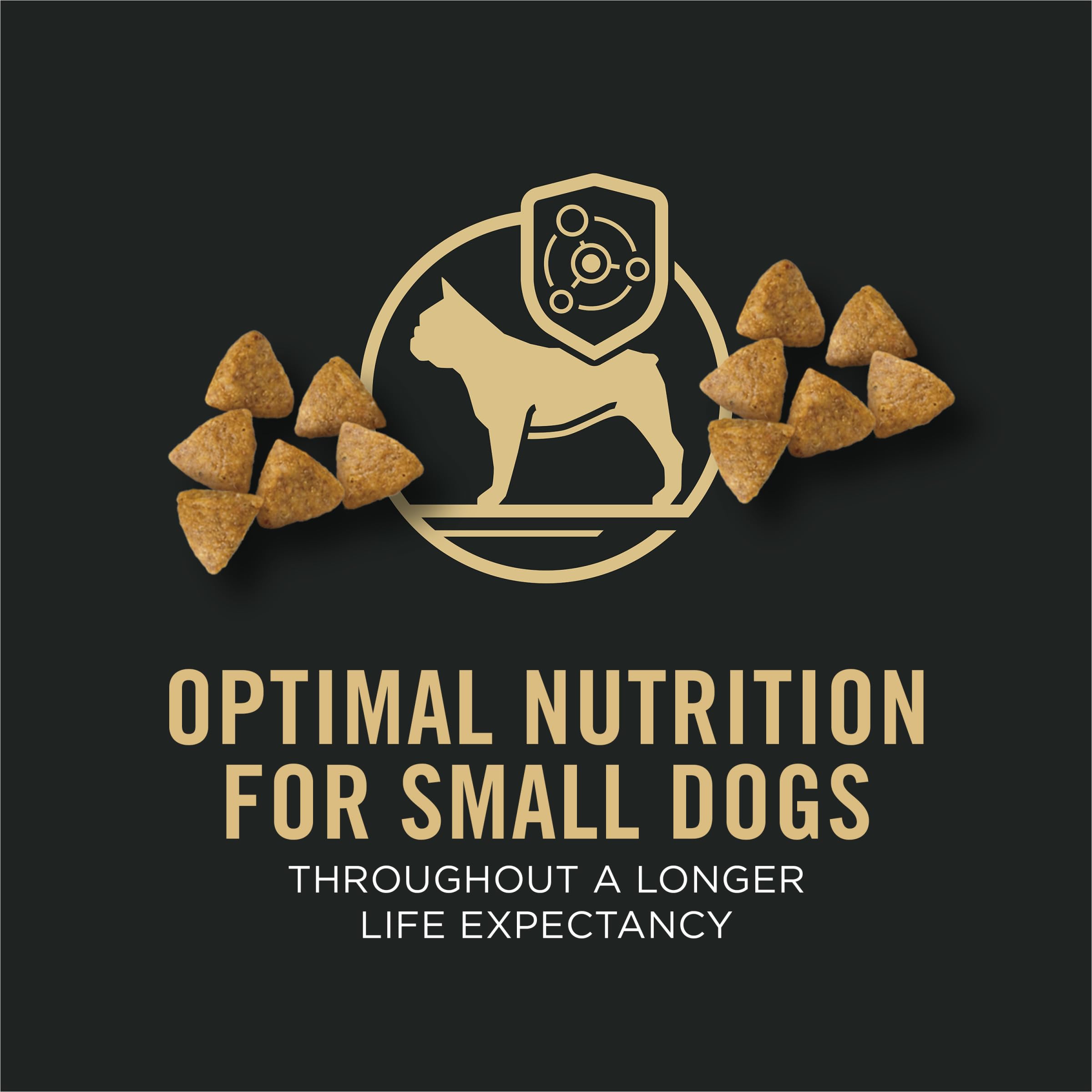 Purina Pro Plan Dry Dog Food, Specialized Small Breed Chicken & Rice - 8.16 kg Bag (1 Pack) 🍁 All In One Marketplace Canada