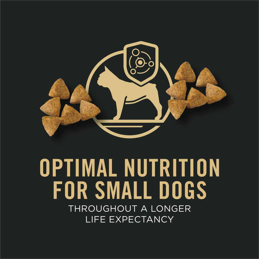 Purina Pro Plan Dry Dog Food, Specialized Small Breed Chicken & Rice - 8.16 kg Bag (1 Pack) 🍁 All In One Marketplace Canada