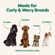 Earth Rated (A Canadian Company), 3-in-1 Detangling Dog Shampoo and Conditioner, Deodorizing Oatmeal Shampoos for Dogs and Puppies, Great for Smelly Pets, White Tea and Basil Scent, 473 ml 🍁 All In One Marketplace Canada