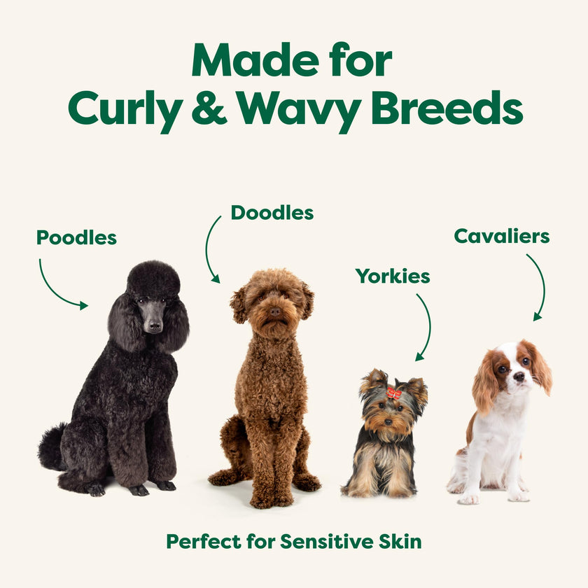Earth Rated (A Canadian Company), 3-in-1 Detangling Dog Shampoo and Conditioner, Deodorizing Oatmeal Shampoos for Dogs and Puppies, Great for Smelly Pets, White Tea and Basil Scent, 473 ml 🍁 All In One Marketplace Canada