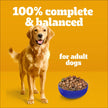 PEDIGREE Vitality+ Dry Food for Adult Dogs, Roasted Chicken & Vegetable Flavour, 100% Complete and Balanced Nutrition, 20kg Bag 🍁 All In One Marketplace Canada