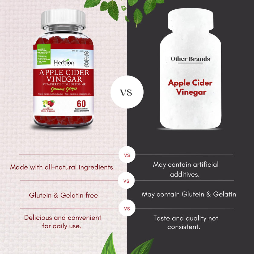 Herbion Naturals Apple Cider Vinegar Gummy with Folic Acid, Pomegranate, Beetroot & vitamin B12, source of Antioxidants to maintain Good Health & Metabolism, 60 Pectin Gummies for Adults, Apple Flavour 🍁 All In One Marketplace Canada