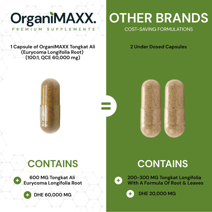 6X Strength Tongkat Ali 600 MG PER SINGLE CAPSULE 60,000 MG Equivalent 100:1 Extract Ratio Highest Potency, OrganiMAXX Longjack Eurycoma Longifolia Non-GMO Premium Tongkat Ali Supplement For Men. 🍁 All In One Marketplace Canada