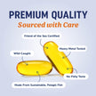 Triple Strength Omega 3 Fish Oil 1200 mg | EPA & DHA | Wild Caught, Sustainably Sourced Omega-3 Fatty Acids | Premium Burpless Fish Oil Supplements | Clean Label Certified, Third-Party Tested | 30 Ct 🍁 All In One Marketplace Canada
