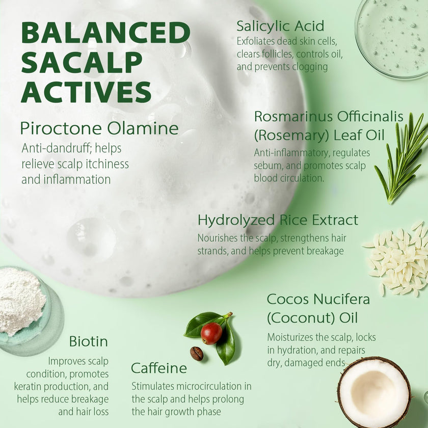 Folliculitis Shampoo Seborrheic Dermatitis Psoriasis Shampoo: Scalp Dandruff, Dry Scalp & Flake Control — Sulfate-Free, Nourishing with Salicylic Acid, Piroctone Olamine, Rice Water, Rosemary Oil 260ml 🍁 All In One Marketplace Canada