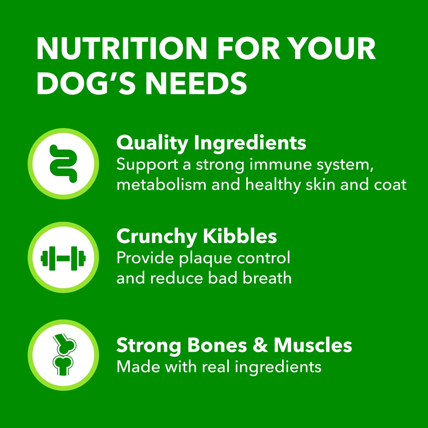 IAMS Proactive Health Minichunks Dry Dog Food – Crunchy Kibble for Adult Dogs – Chicken & Whole Grain Recipe – 13.61KG (30LB) Bag 🍁 All In One Marketplace Canada