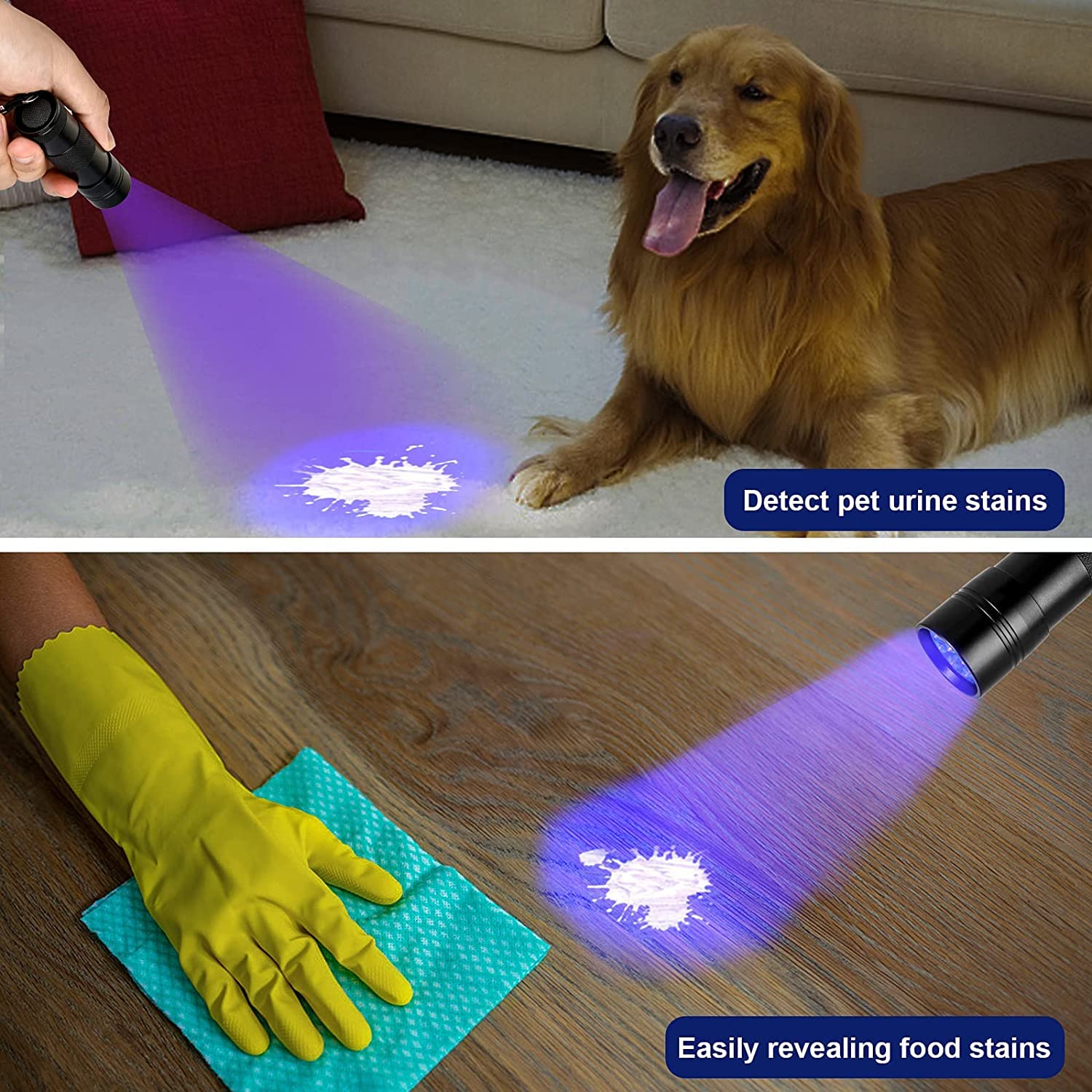 MegaPower (TM) UV Flashlight Black Light 12 LED 395nm Hand-held Detecting Torch for Pet Urine, Stains, Verifying Money Documents, Black 🍁 All In One Marketplace Canada