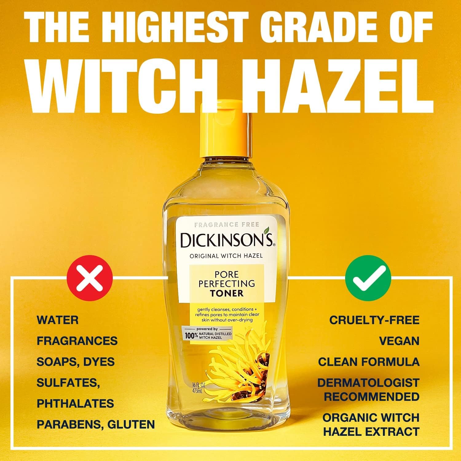 Health Life Dickinson’s Original Witch Hazel Pore Perfecting Toner 16 oz 🍁 All In One Marketplace Canada