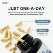 Herba Methylated Multivitamin with 500mg TMG & Methylated B Complex - 120 Capsules | 15 in 1 Formula | B Complex Vitamins for Women & Men including Methyl Folate Supplement | Vegan | Made in Canada 🍁 All In One Marketplace Canada