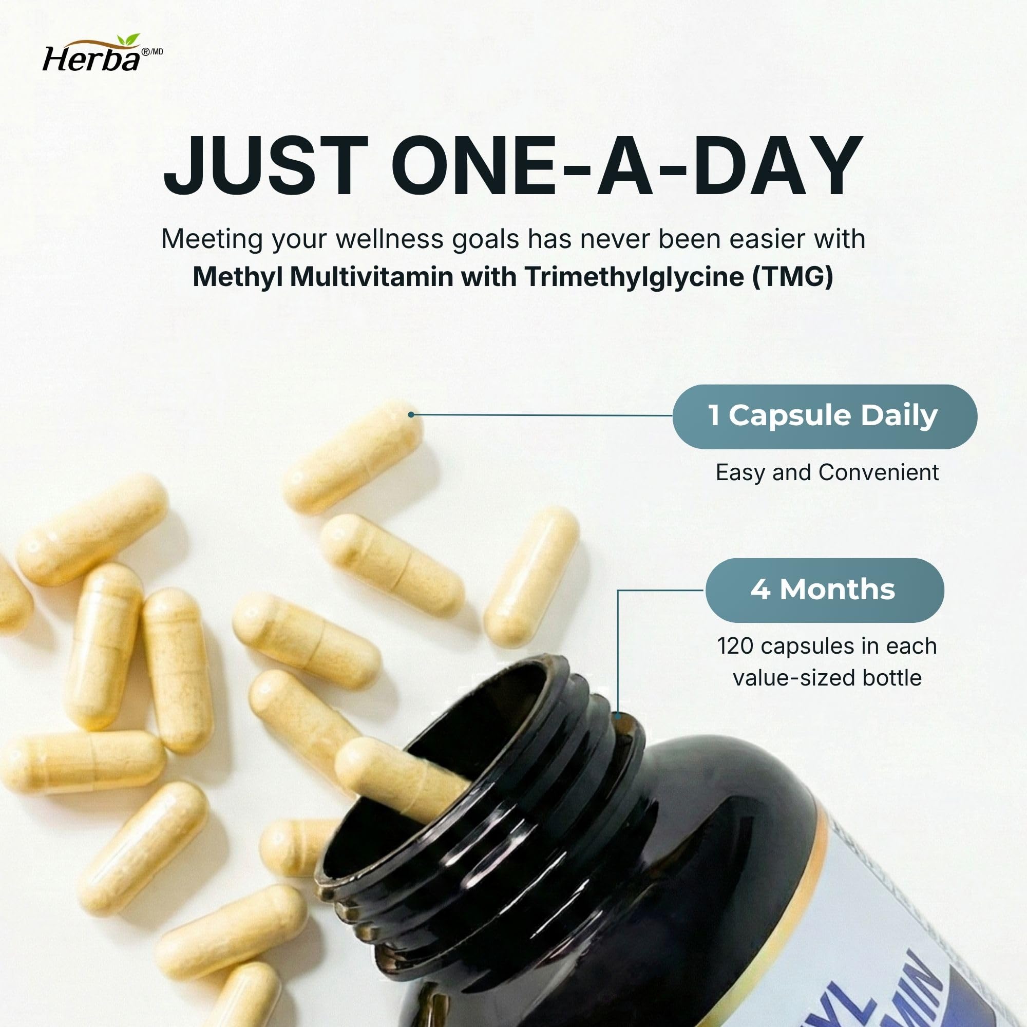 Herba Methylated Multivitamin with 500mg TMG & Methylated B Complex - 120 Capsules | 15 in 1 Formula | B Complex Vitamins for Women & Men including Methyl Folate Supplement | Vegan | Made in Canada 🍁 All In One Marketplace Canada