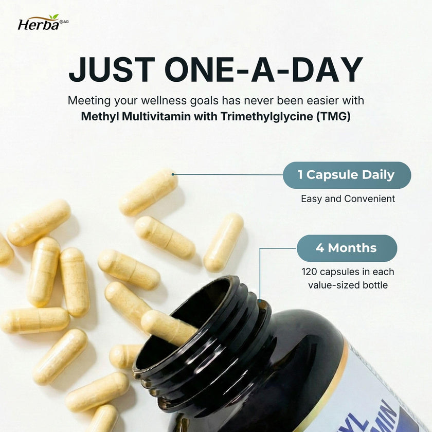 Herba Methylated Multivitamin with 500mg TMG & Methylated B Complex - 120 Capsules | 15 in 1 Formula | B Complex Vitamins for Women & Men including Methyl Folate Supplement | Vegan | Made in Canada 🍁 All In One Marketplace Canada