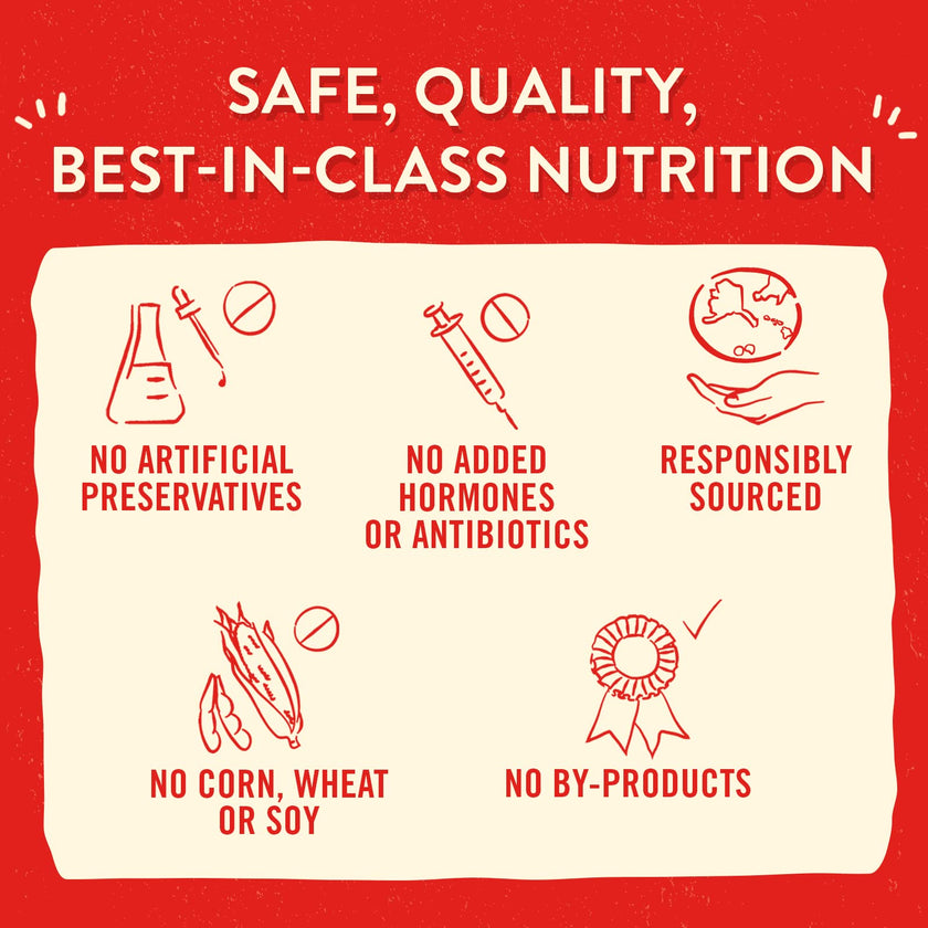 Stella & Chewy’s Lil’ Bites for Small Breed Dogs – Itty Bitty Beef Recipe – Protein Rich, Grain Free Dog & Puppy Treat – Great Meal or Snack for Training & Rewarding – 198g Bag 🍁 All In One Marketplace Canada