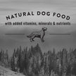 Nature's Recipe Grain Free Natural Dry Dog Food Chicken, Sweet Potato & Pumpkin Recipe 10.8 kg (Pack of 1) 🍁 All In One Marketplace Canada