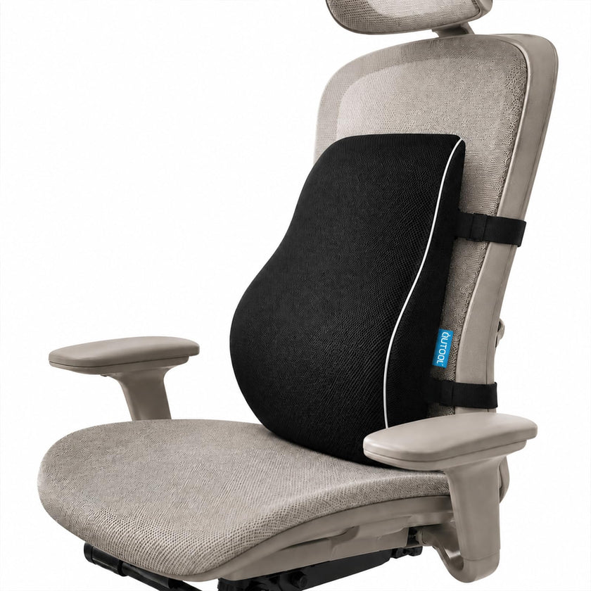 QUTOOL Lumbar Support Pillow for Office Chair, High-Density Memory Foam Back Cushion with Dual Adjustable Straps, Breathable 3D Mesh Cover, Ergonomic Back Support for Everyday Sitting 🍁 All In One Marketplace Canada