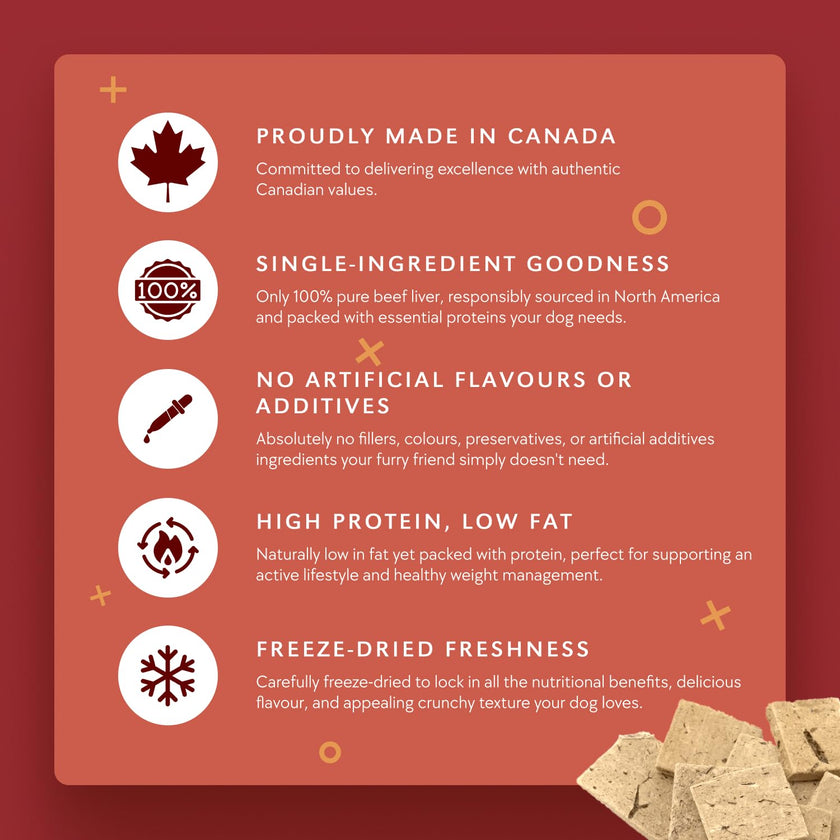 Benny BULLYS Chops Beef Liver Dog Treats, Freeze-Dried, Low Fat, High Energy & Nutrient Rich Food for Your Furry Friend, All Natural Ingredients 2X Small Bites- 520g/ 18.3oz 🍁 All In One Marketplace Canada