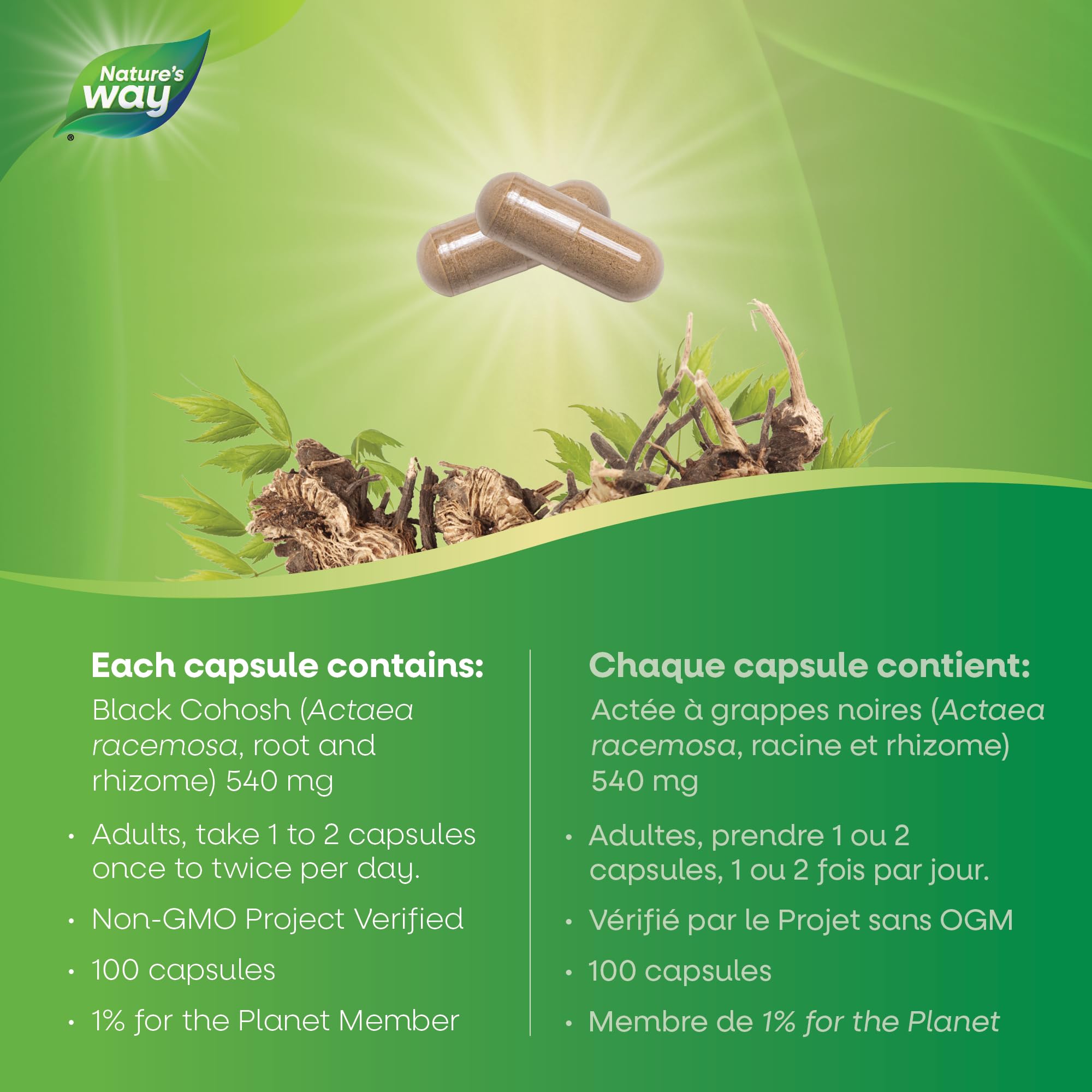 Nature's Way Black Cohosh Root – Hormone Balance for Women – 540mg Herbal Supplement for Menopausal Symptoms – Helps Relieve Menstruation Pain & Premenstrual Symptoms – 100 Vegetarian Capsules 🍁 All In One Marketplace Canada