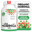 PlantVital Organic Moringa Leaf Capsules - Made in Canada - 1000mg High Potency (500mg per cap) Moringa Pure Capsules for Antioxidant, and Eye Health - Vegan, Non-GMO, Gluten Free (120 Count, 60 Days) 🍁 All In One Marketplace Canada