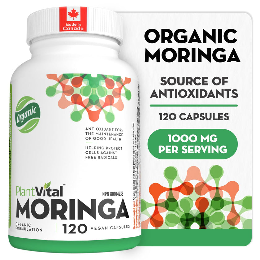 PlantVital Organic Moringa Leaf Capsules - Made in Canada - 1000mg High Potency (500mg per cap) Moringa Pure Capsules for Antioxidant, and Eye Health - Vegan, Non-GMO, Gluten Free (120 Count, 60 Days) 🍁 All In One Marketplace Canada