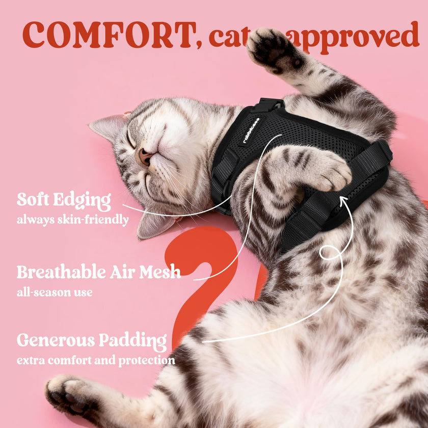 rabbitgoo Cat Harness and Leash for Walking, Escape Proof Soft Adjustable Vest Harnesses for Small Medium Cats, Easy Control Breathable Reflective Strips Jacket, XS, Black 🍁 All In One Marketplace Canada