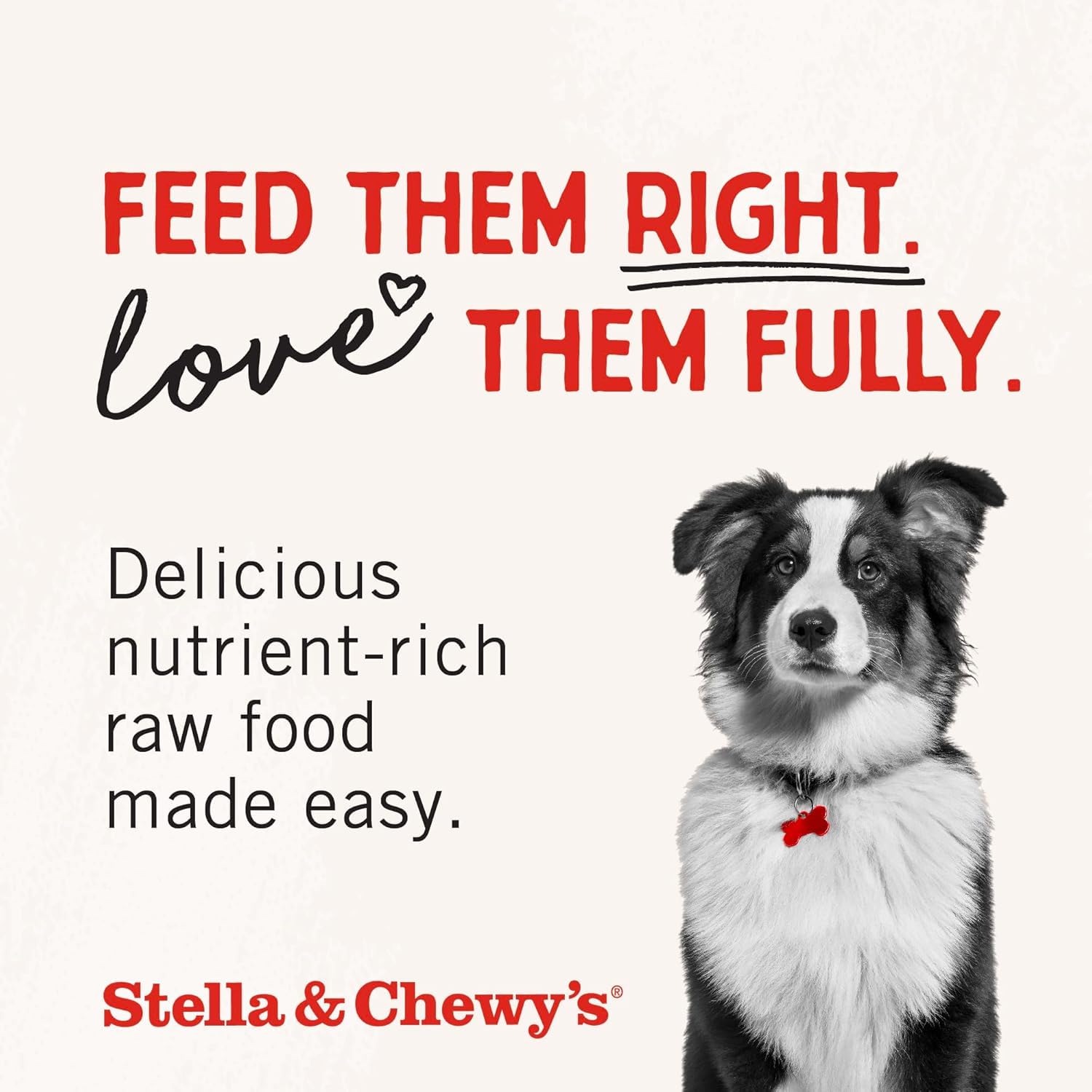 Stella & Chewy’s Freeze Dried Raw Dinner Patties – Grain Free Dog Food, Protein Rich Stella’s Super Beef Recipe – 396g Bag 🍁 All In One Marketplace Canada